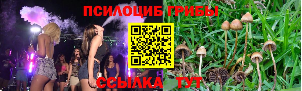 Галлюциногенные грибы GOLDEN TEACHER Новоалтайск